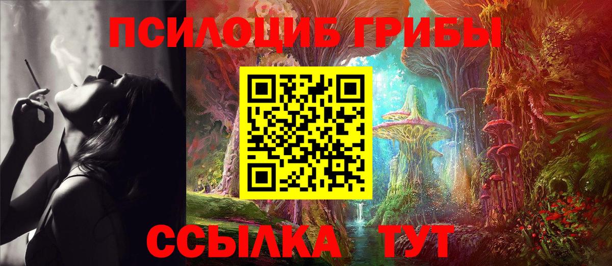 хочу   Галлюциногенные грибы Cubensis  Вход с VPN  Луга  Галлюциногенные грибы Psilocybine cubensis 