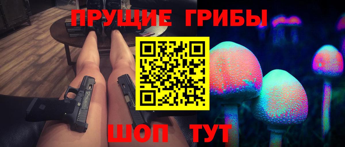 Псилоцибиновые грибы Psilocybine cubensis Луга